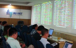 VN-Index tăng lên 245 điểm